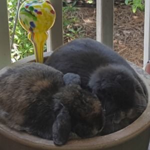 Meet your Posher, Claudia